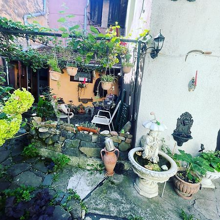 Casa Morar Διαμέρισμα Σιγκισοάρα Εξωτερικό φωτογραφία