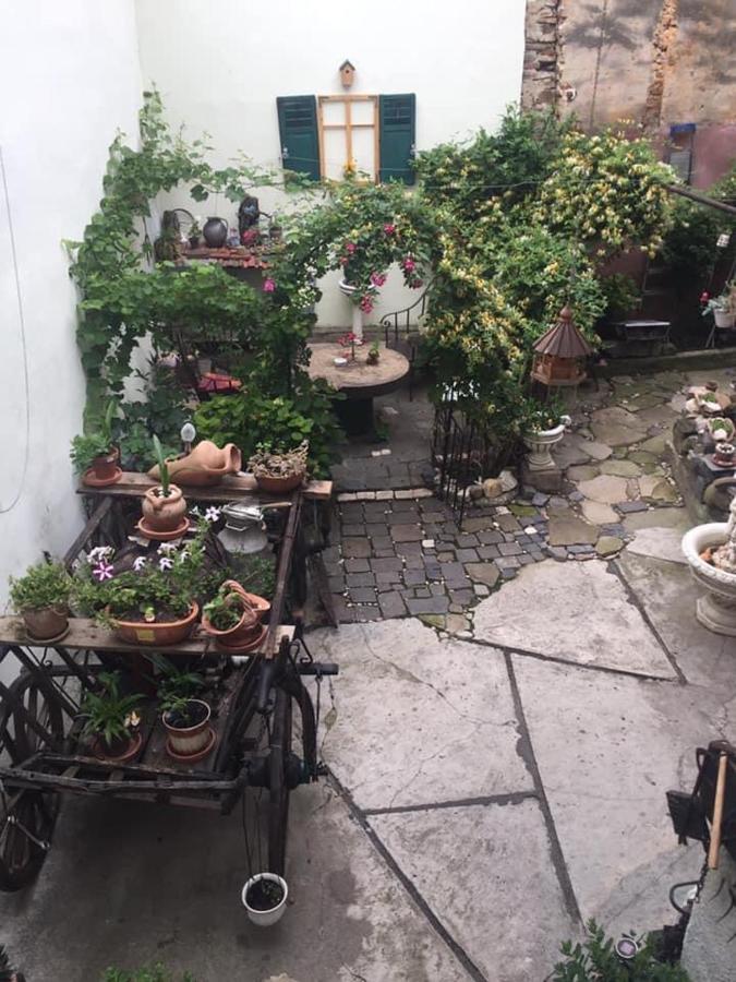 Casa Morar Διαμέρισμα Σιγκισοάρα Εξωτερικό φωτογραφία