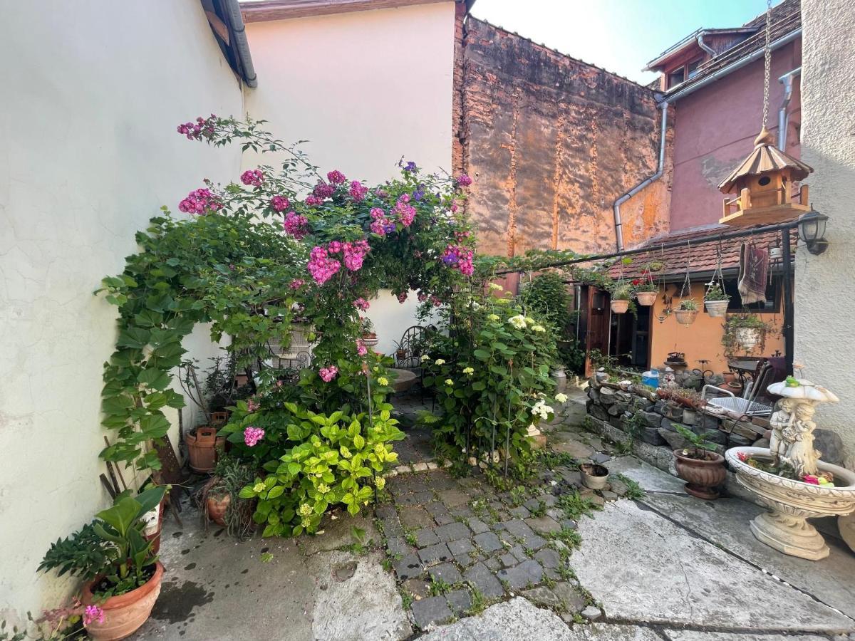 Casa Morar Διαμέρισμα Σιγκισοάρα Εξωτερικό φωτογραφία