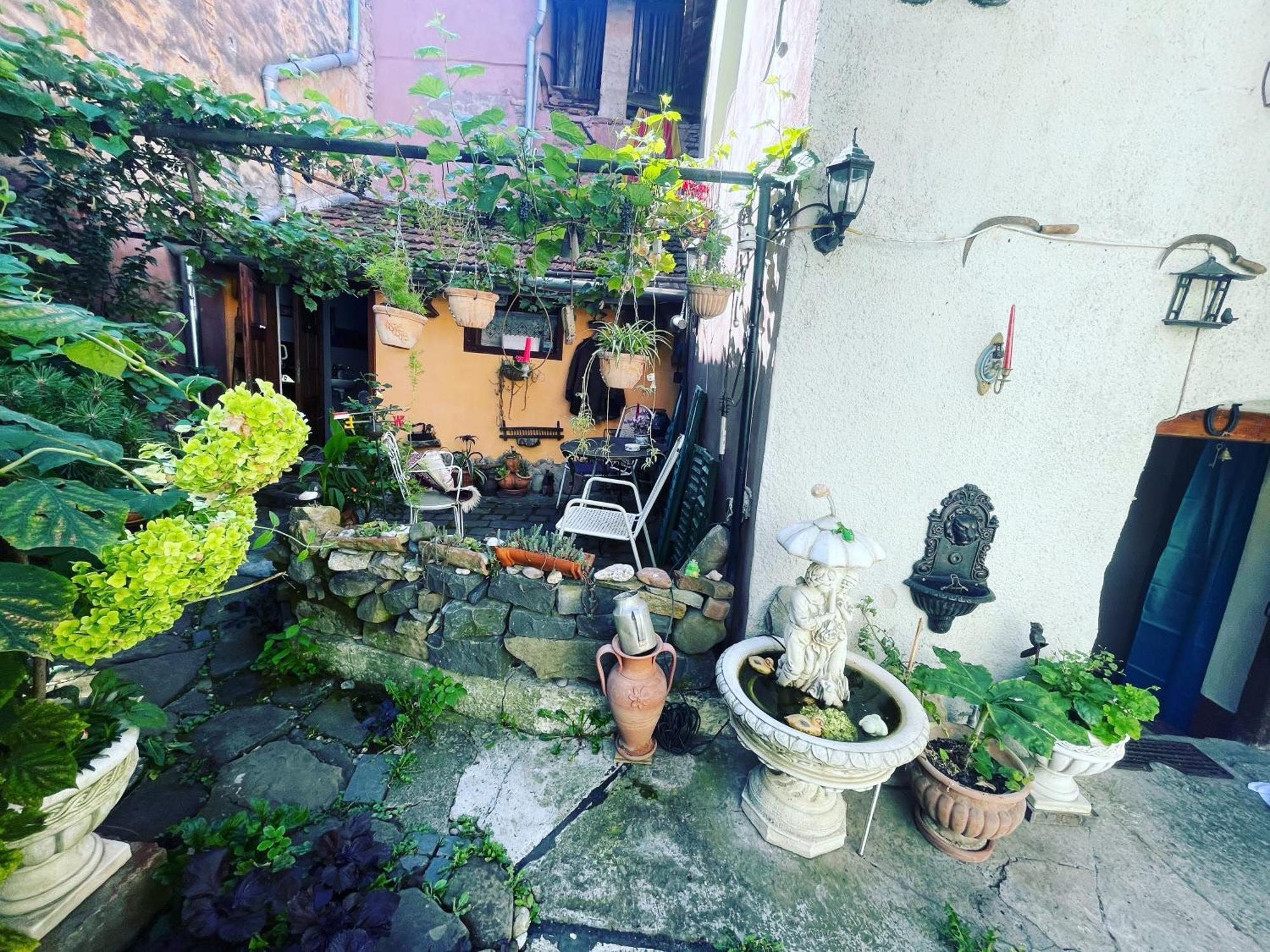 Casa Morar Διαμέρισμα Σιγκισοάρα Εξωτερικό φωτογραφία